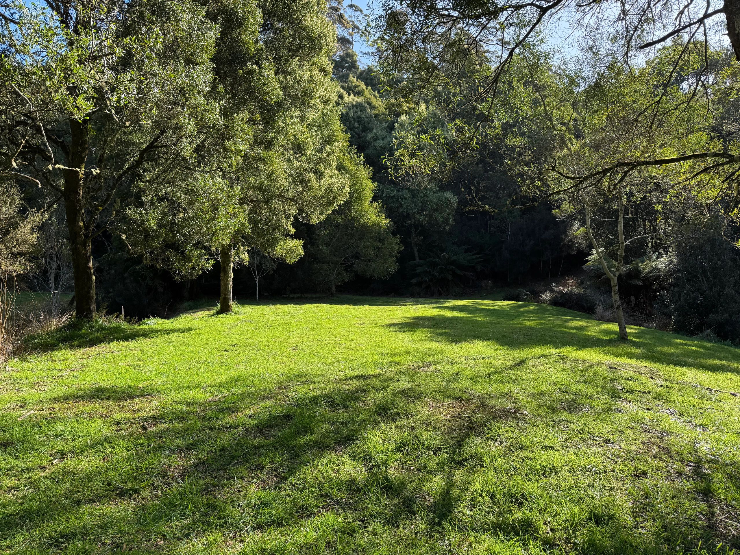 Campsites Under Development