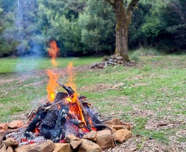 Campfire in forest clearing