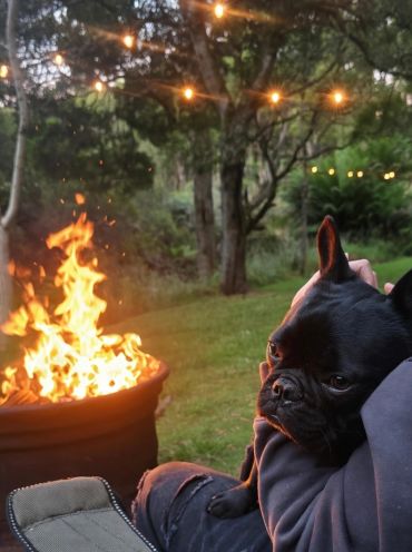 Dog by fire pit with string lights