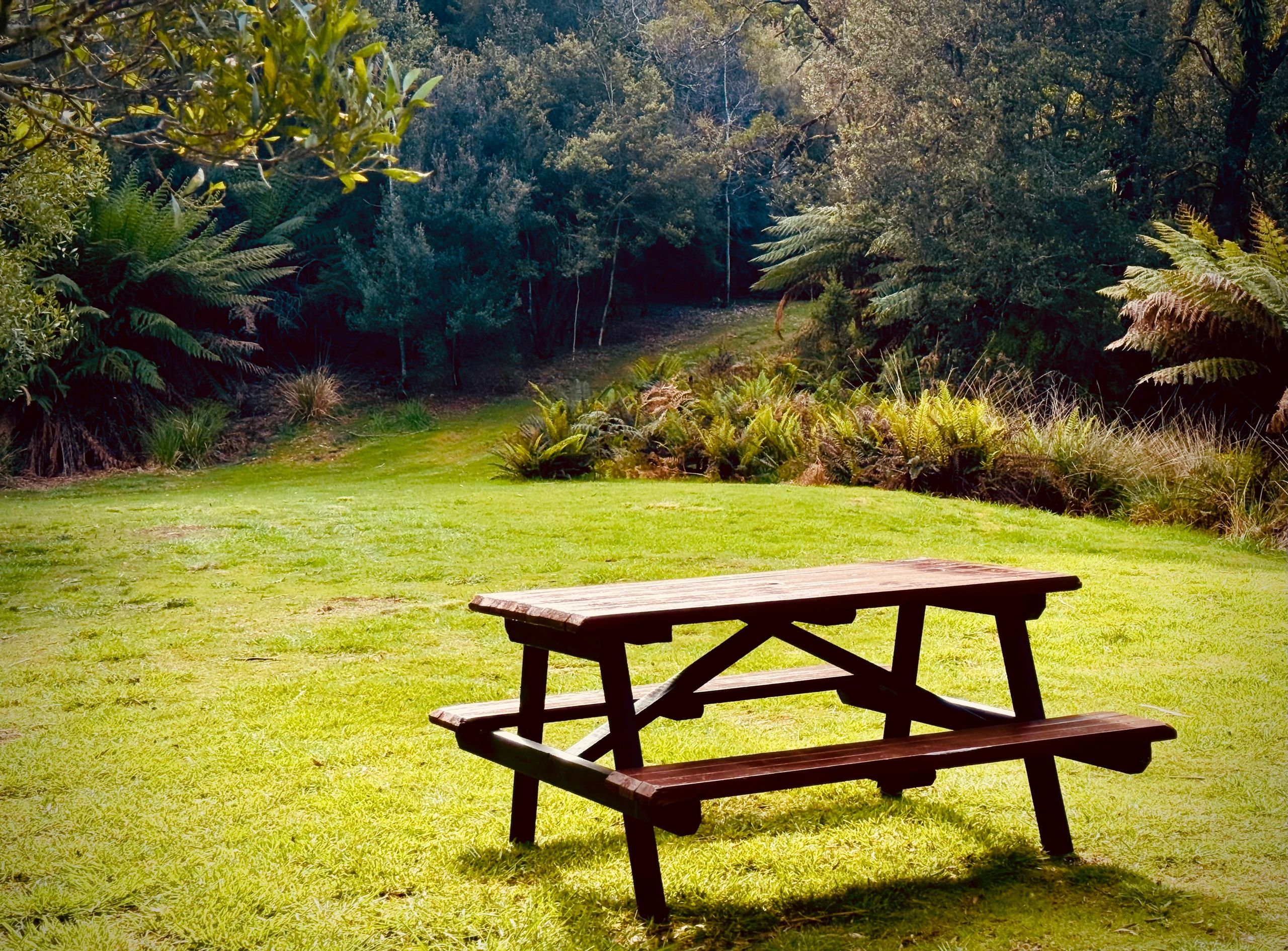 Picnic table in lush garden
